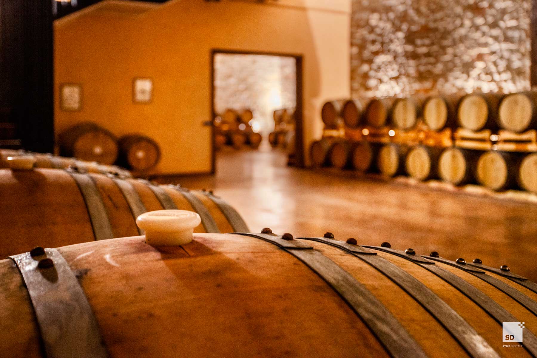 Visite in Cantina
